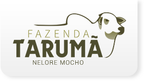 Fazenda Tarumã - Nelore Mocho